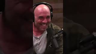 Joe Rogan Talks About His In House Monkey Chi Chi