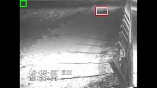Protrack Video Motion Detection - Man crawling toward a fence at night