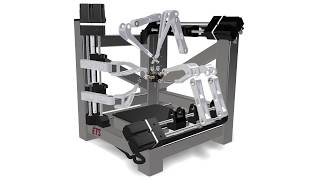 Hexapteron - Partially Decoupled Six-Axis PKM