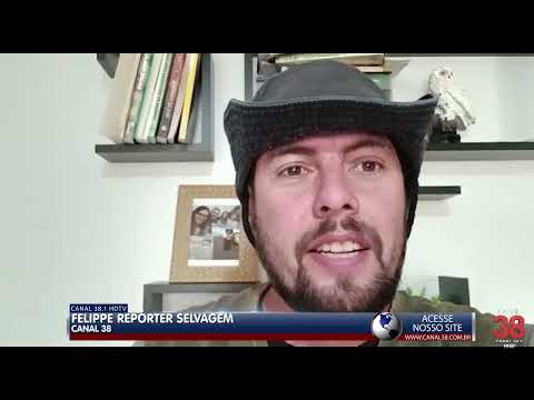 SUPOSTA SUCURI FOI