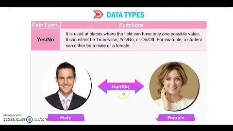 Class 8 Ch 4 Working With Tables in MS Access (Part 1)