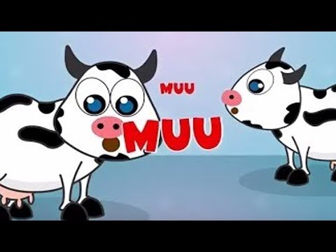 Dierenliedjes - Nederlandse kinderliedjes - Dierentuin - Liedjes voor peuters en kleuters