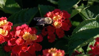 'Be prepared': Experts say warming weather will bring seasonal pollen allergies