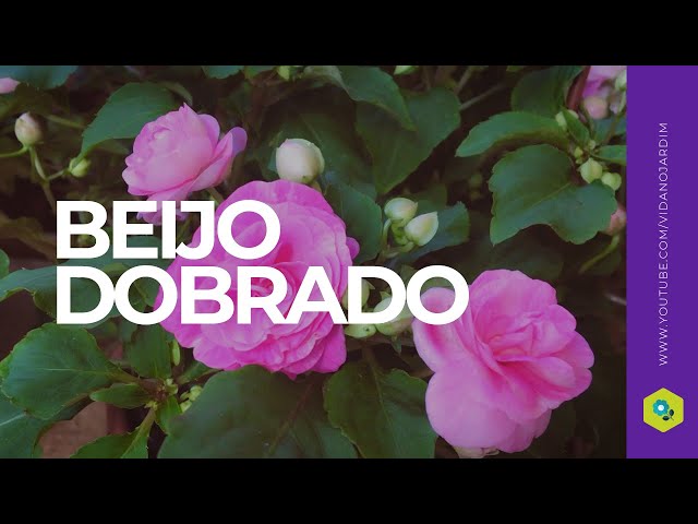 66 ideias de Beijinhos dobrados