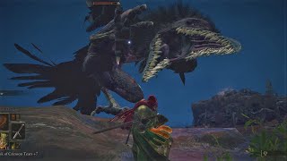 Elden Ring - The Caelid Experience
