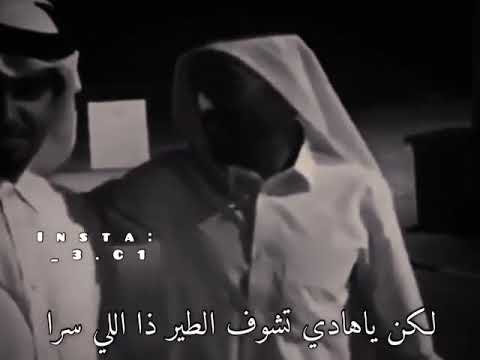 خيل وهجن شعرحزين 326