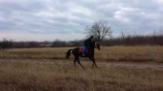 20150109 094052