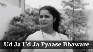 Ud Ja Ud Ja Pyaase Bhaware | Guru Dutt | Waheeda Rehman | Mohammed Rafi Song | Kaagaz Ke Phool