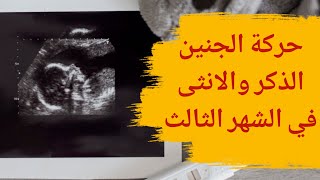 حركة الجنين الذكر والانثى في الشهر الثالث | حركة الجنين الولد والبنت في الشهر الثالث من الحمل