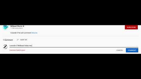 I commented on a MrBeast video that says only Dream can comment on part   2