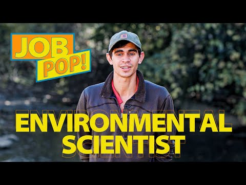 Environmental Job Description