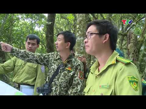 Video Đa dạng sinh học Khu bảo tồn các loài hạt trần quý,... - YouTube