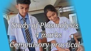 Plasmolysis
