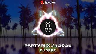 Party Mix #4 2025 (DJ DENE)
