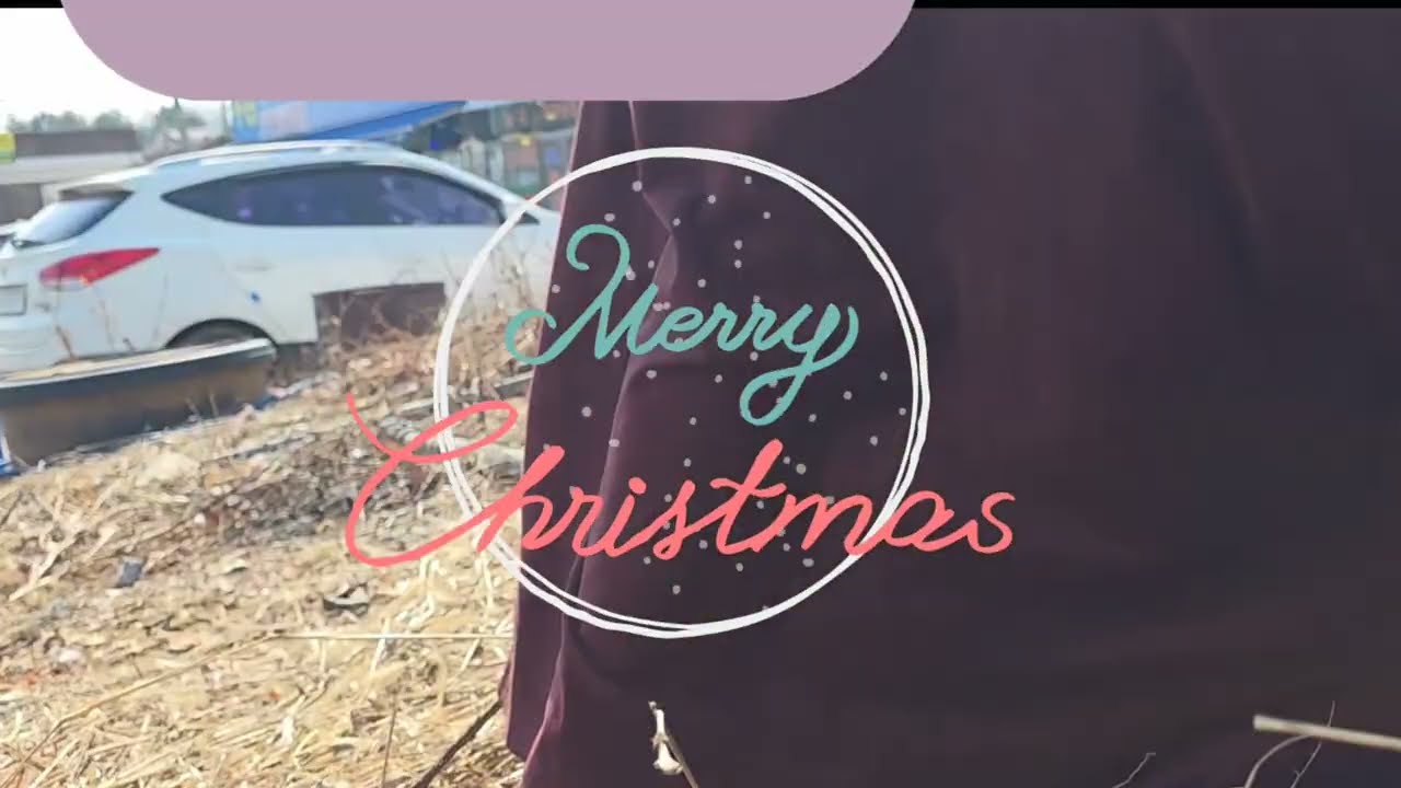 외롭지 않게 ᆢ교통사고 길냥이ᆢ