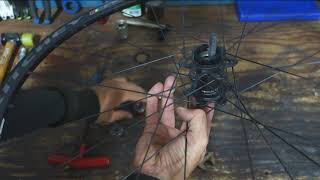 How To Service a Ritchey WCS Bicycle Wheel