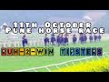 12th October 2024 PUNE horse race tips | Run-2-Win Tipsters |