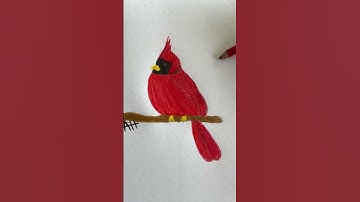 realistic cardinal drawing!#art #artwork #drawing #coloredpencils