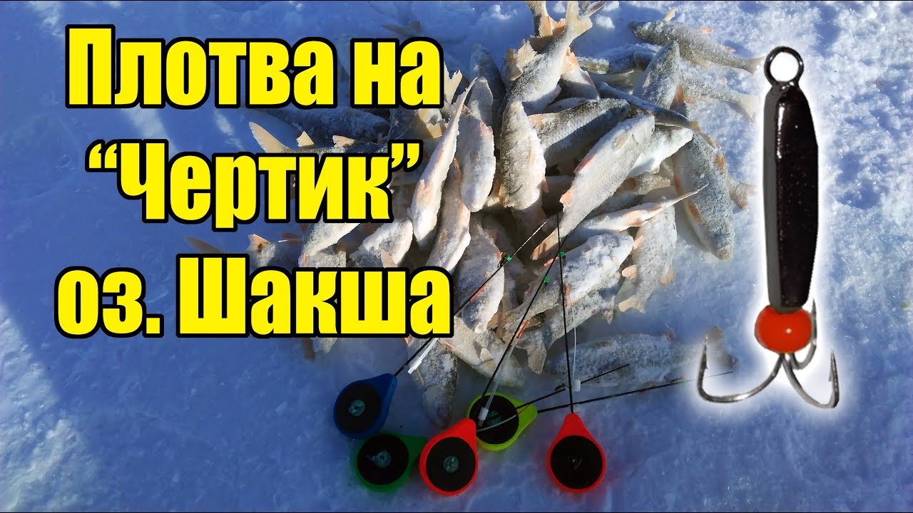 Ловля плотвы на волге