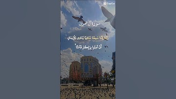 الشيخ عبدالباسط عبدالصمد]تلاوة تقشعر لها الابدان