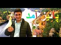 پائیز آمد با صدای محسن وهاب پور