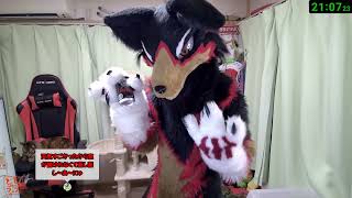 【Fursuit/獣化#151】水曜のもふもふタイム🐶🐾【ジュージュー/JuuJuu】#fursuit #獣化 #live