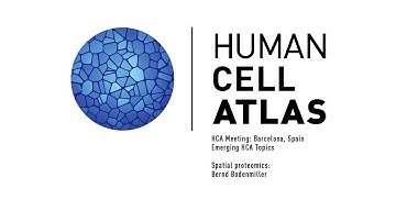HCA Meeting: Emerging HCA Topics, Spatial proteomics