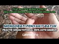 Cough Solution, Palm Reflexology Massage: GIRAS TV