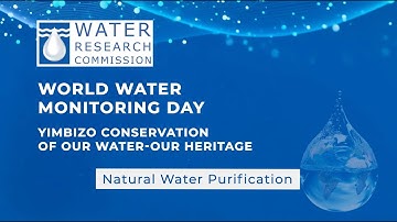 World Water Monitoring Day 2025: Imbizo YeSizwe in Soweto Test Station5   Natural Water Purification