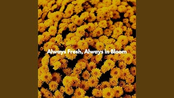 Glorious Moods for Higher Overtones