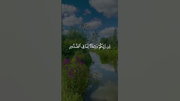 من سورة يونس  بصوت أنس الراسبي  Surah An-Naba (Anas Alrasbi) #quran #islam #islamic