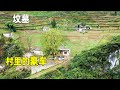 雲南一天坑里住著5戶人家，他們都不願意去城裡住，過著與世隔絕般的生活Five families live in a pit in Yunnan