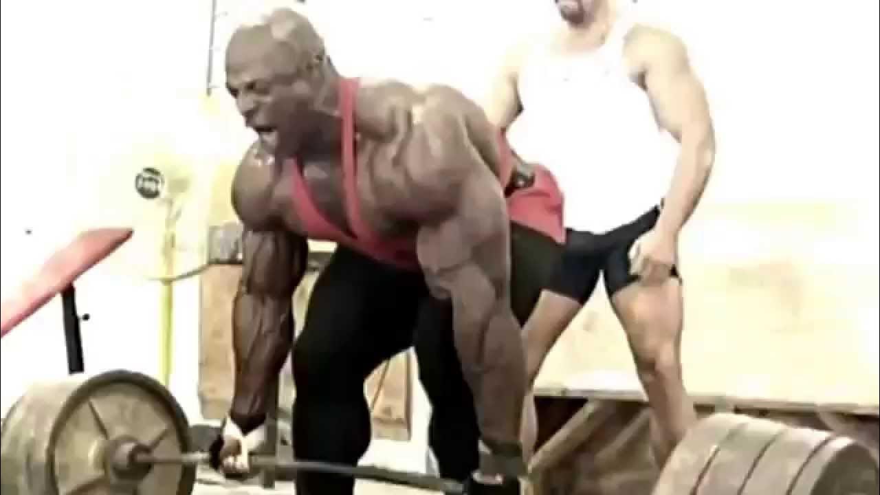 No2 Р±РѕРґРёР±РёР»РґРёРЅРі