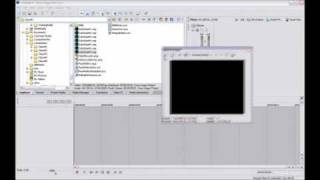 Sony Vegas Tutorial - Basics