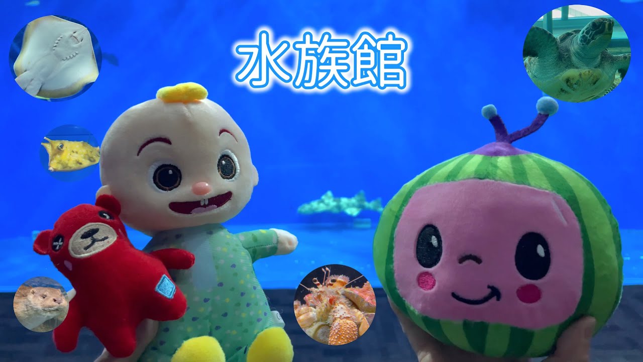 ココメロンとジェイジェイ すいぞくかんに遊びに行く Cocomelon and JJ go out to play to an aquarium Is there a baby shark ?