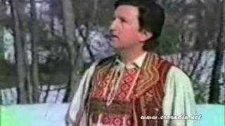 Miniatura del video "VICE VUKOV - SUZA ZA ZAGORSKE BREGE"