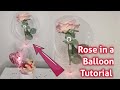 How To Put A Flower Inside A Balloon || Valentines Day Balloon