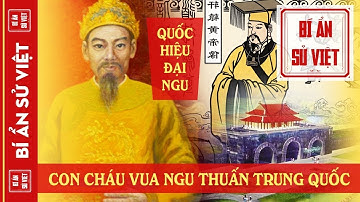 Lý Do Thực Sự Khiến Hồ Quý Ly Đặt Tên Nước Là ĐẠI NGU | BÍ ẨN SỬ VIỆT