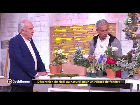 Décoration de Noël au naturel pour un rebord de fenêtre - La Quotidienne