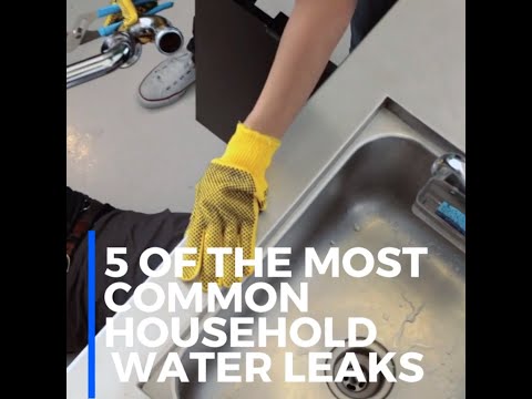 Top 5 Common