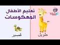 تعليم المعكوسات للأطفال Loka TV 