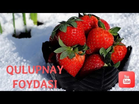 Video: Qulupnay Bilan Apelsin Tvorogi