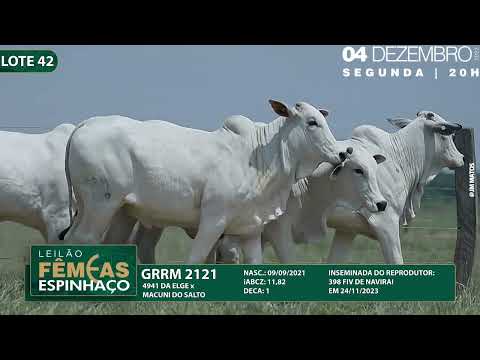 LOTE 42 GRRM 2121 2269 2329 2346