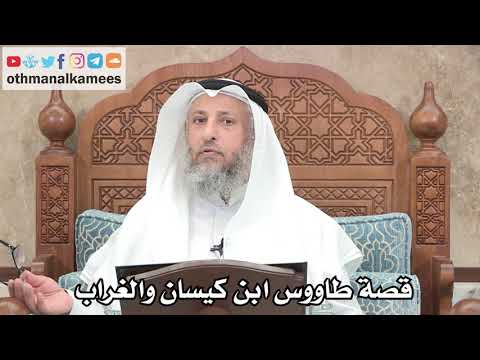 259 قصة طاووس ابن كيسان والغراب عثمان الخميس