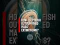 How Jellyfish Out Survived Mass Extinctions? #shorts #didyouknow