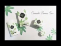 RYOR Cannabis Derma Care