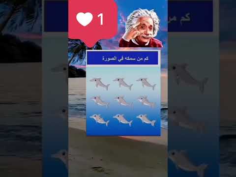 كم من سمكة في الصورة اكسبلور لايك اشتراك بالقناه ليصلك كل جديد