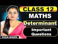 Class 12 Maths Ch-4 Important Questions | Determinant Important Questions | One shot |#class12maths