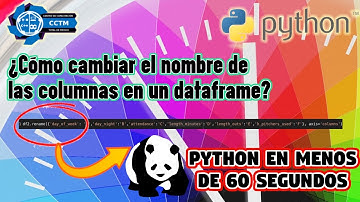 🗒️+🐼 ¿Cómo cambiar los nombres de las columnas de un Dataframe? | ⏰ En menos de 60 segundos | Shorts