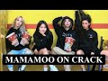 Mamamoo on crack (part two)